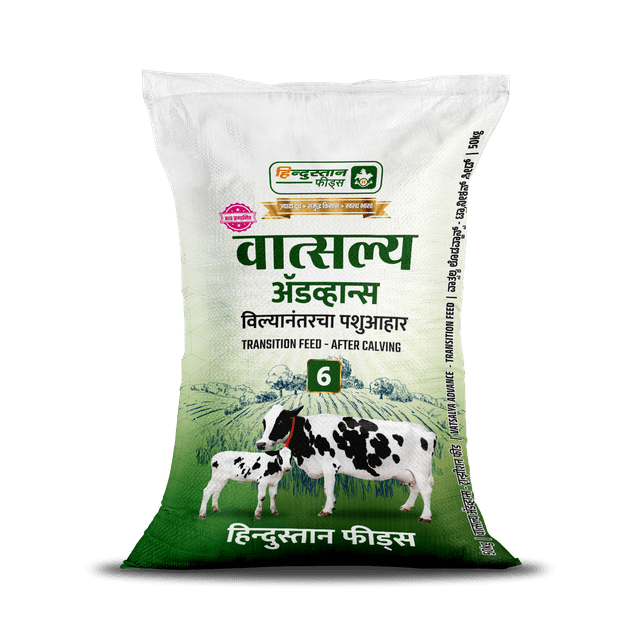 6 Vatsalya advance (After calving)